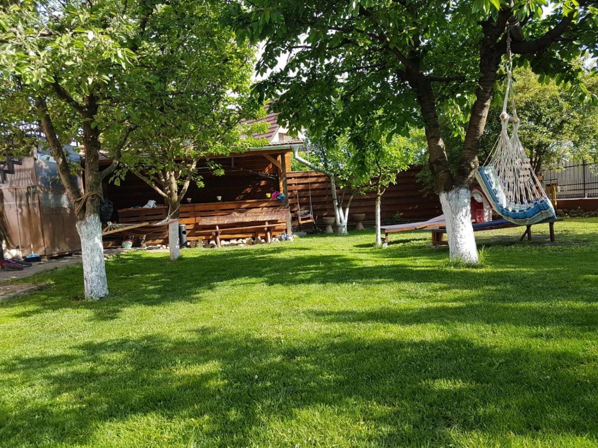 Sport Hostel Cluj المظهر الخارجي الصورة