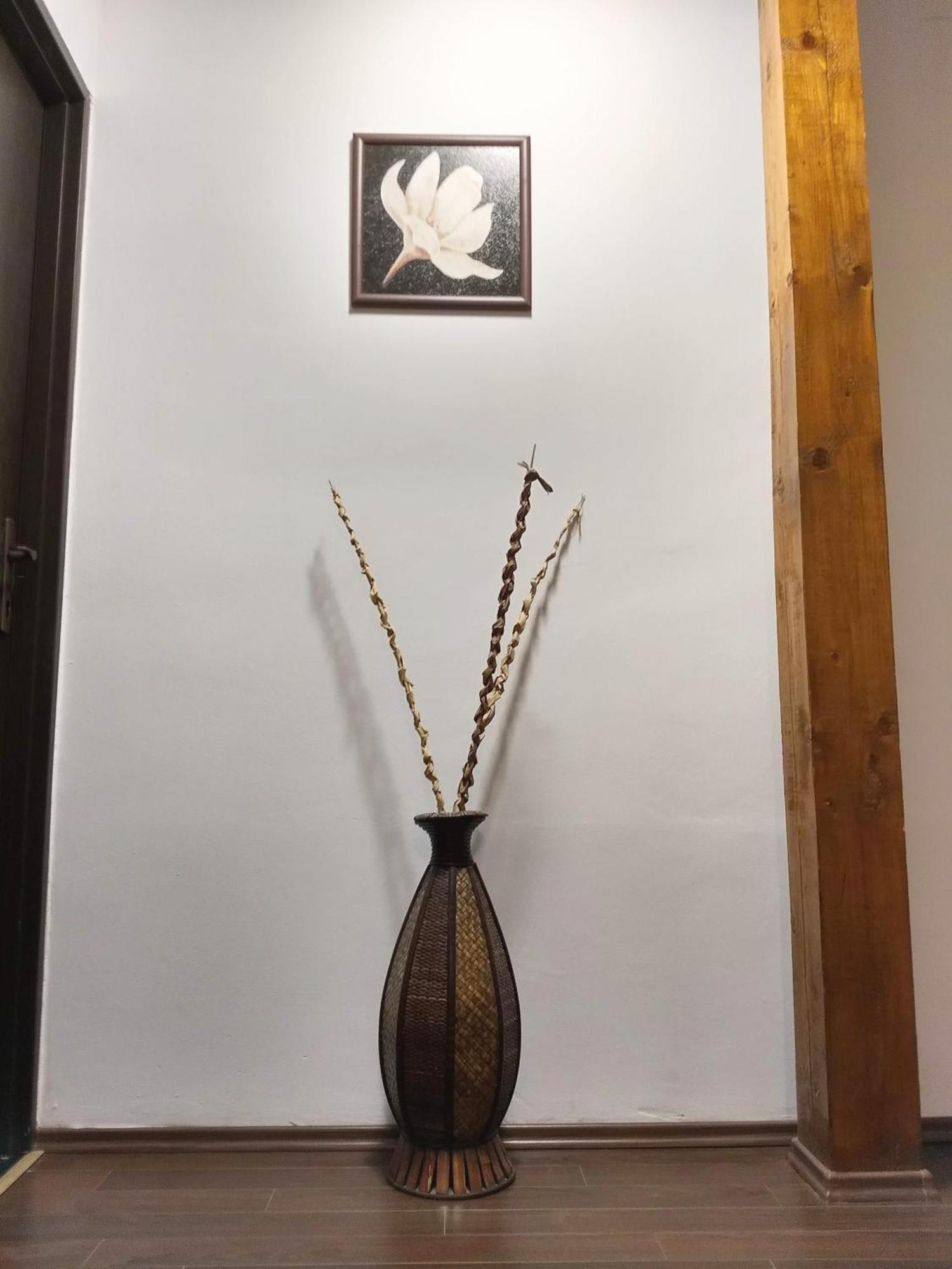 Sport Hostel Cluj المظهر الخارجي الصورة